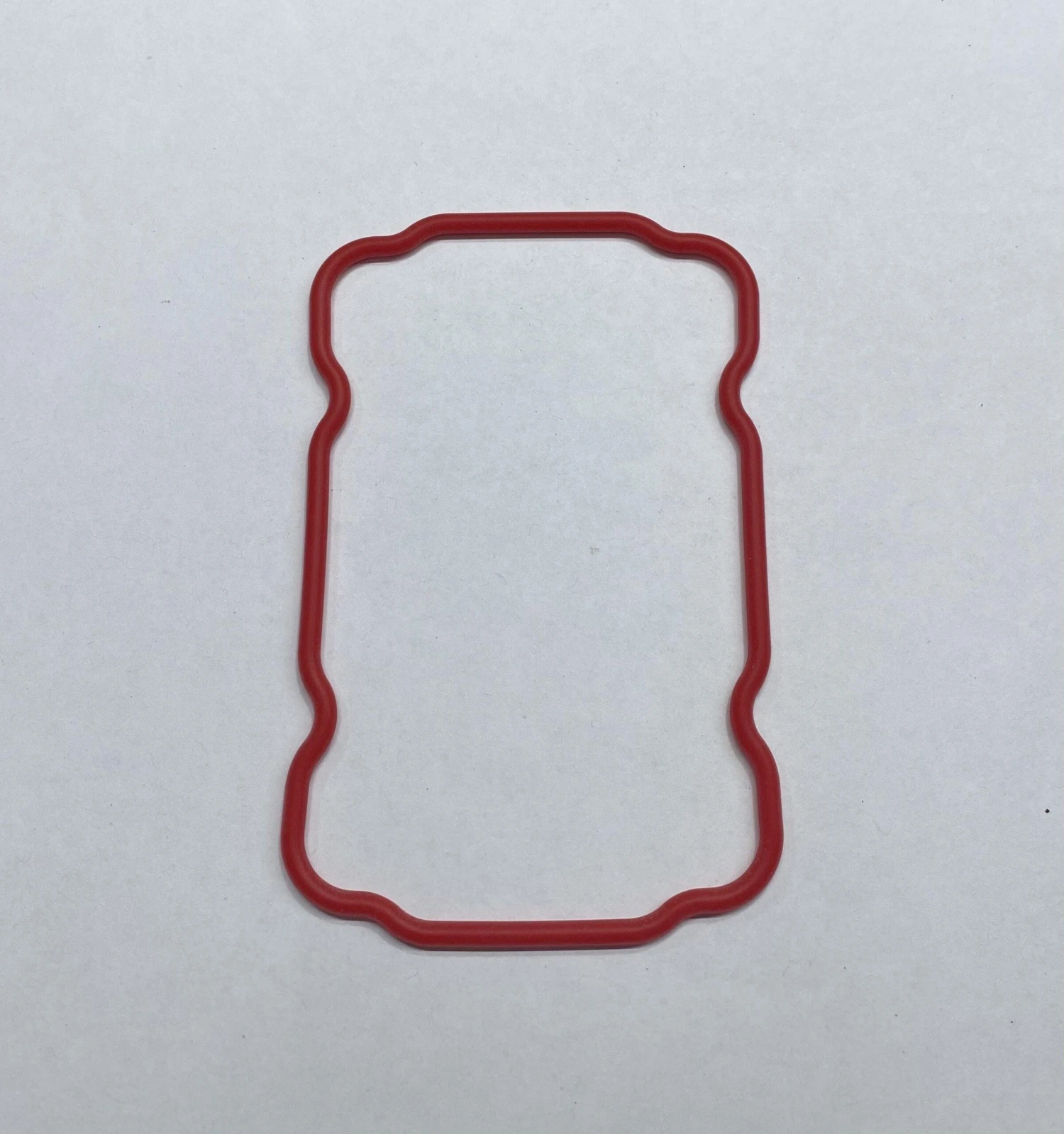 Saeco Guarn Cald Silicone Ptfe/fda (145854259) - Image 2