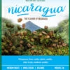 Organic Nicaragua Coffee Beans 2lb